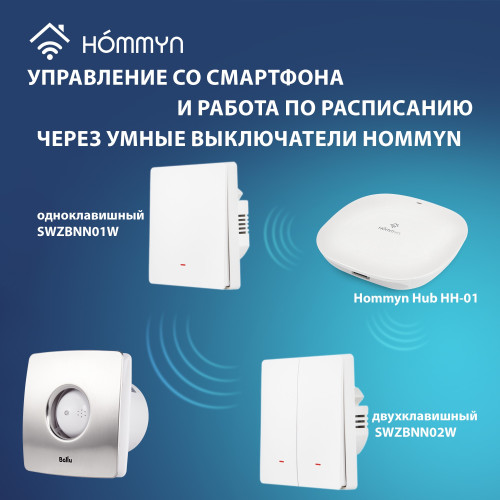 Вентилятор вытяжной Ballu BAFS - 100