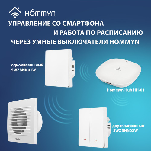 Вентилятор вытяжной Ballu BAF-FW 120 N с антимоскитной сеткой